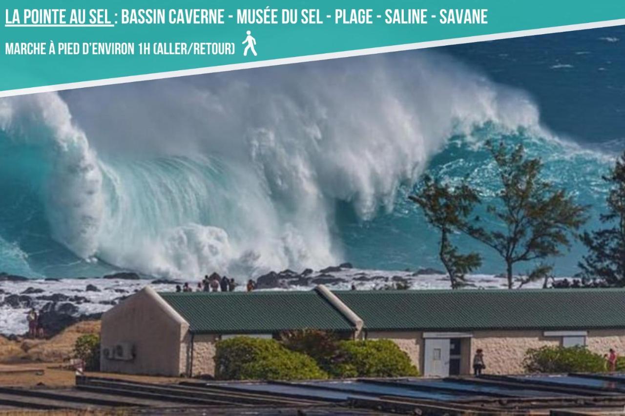 Ti Case Fleurie * Piscine * Jardin Tropical Saint-Leu Exterior foto